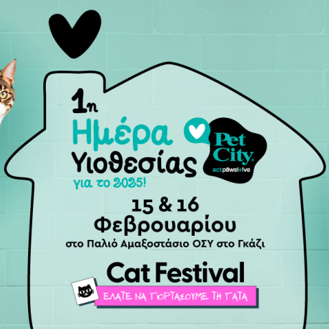 2025_02_10_cat_festival_p1