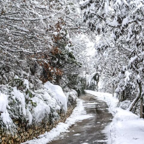 Ο Μαρουσάκης απάντησε για την «πρόγνωση της τσίκνας» και τα σχόλια των μετεωρολόγων για τα χιόνια 