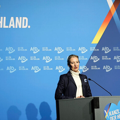 Ποιοι είναι οι Γερμανοί και Αυστριακοί ακροδεξιοί