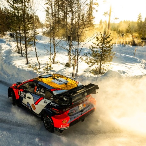 Ράλλυ Σουηδίας: Ανασκόπηση