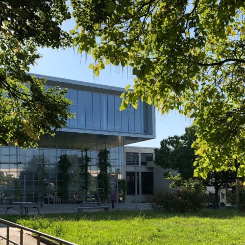 Η Σορβόννη, η «Σορβόννη» και τα ακατανόητα αυτογκόλ της κυβέρνησης