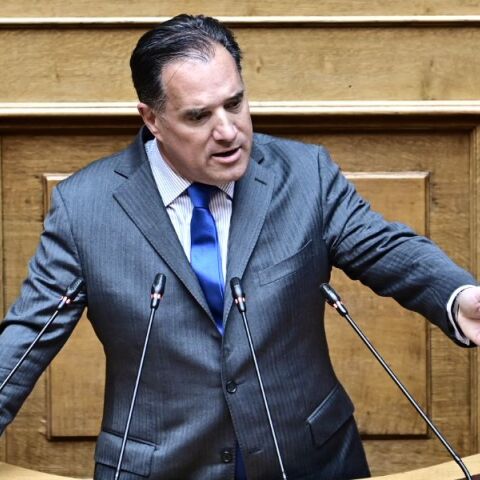 Γεωργιάδης: Η Ελλάδα δεν θα πέσει στον βούρκο που στήνει ο Ανδρουλάκης για να γίνει πρωθυπουργός