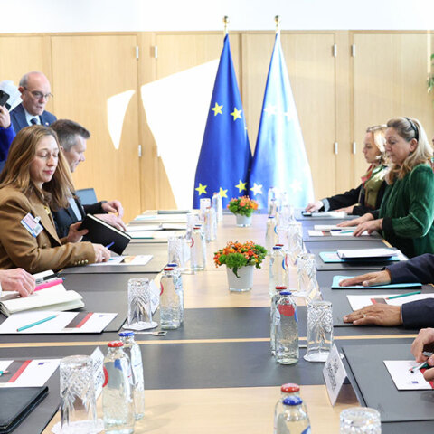 Η Ευρώπη σε συνθήκες ελεγχόμενης ευθανασίας