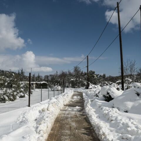 Κακοκαιρία Coral: Έντονο ψύχος και χιόνια - Πότε θα χιονίσει στην Αττική