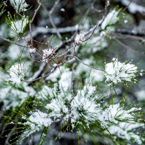 Ο καιρός σήμερα, Σαββατο 22 Φεβρουαρίου: Νέα πτώση της θερμοκρασίας - Πιθανότητα χιονοπτώσεων - Αναλυτική πρόγνωση από το meteo και την ΕΜΥ