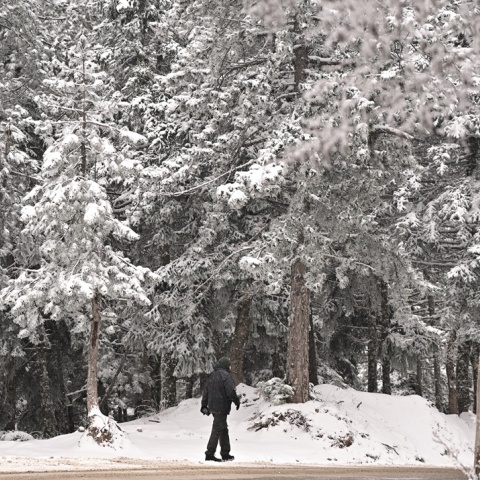 Χιονισμένο τοπίο στην Πάρνηθα