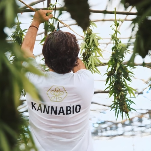 KANNABIO: Προστασία και λειτουργική καθημερινή φροντίδα του δέρματος με τη δύναμη της φύσης
