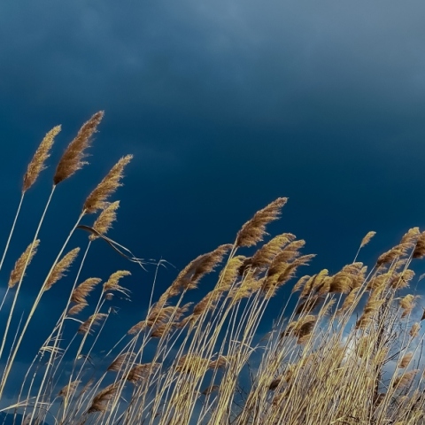 Η Μεγάλη Σαρακοστή