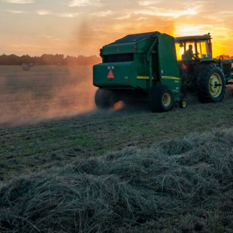 Τα ανθρώπινα ούρα χρησιμοποιούνται ως λίπασμα στο Βερμόντ 