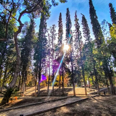 Καιρός: «Μυρίζει» Άνοιξη το Σάββατο