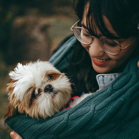 Η μαγεία της θεραπείας με σκύλους