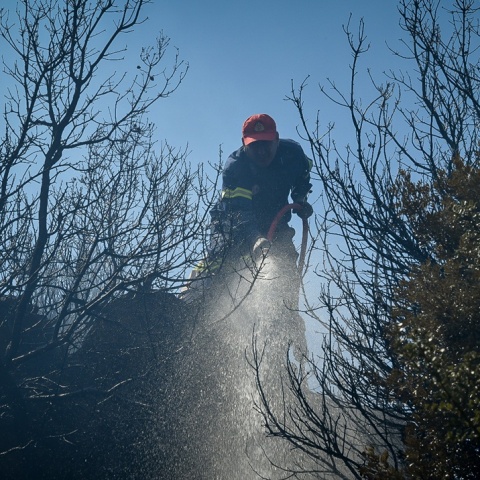 Πυροσβέστης με μάνικα κατά την κατάσβεση φωτιάς