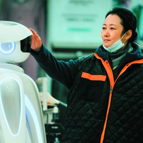 Άγριες πληγές