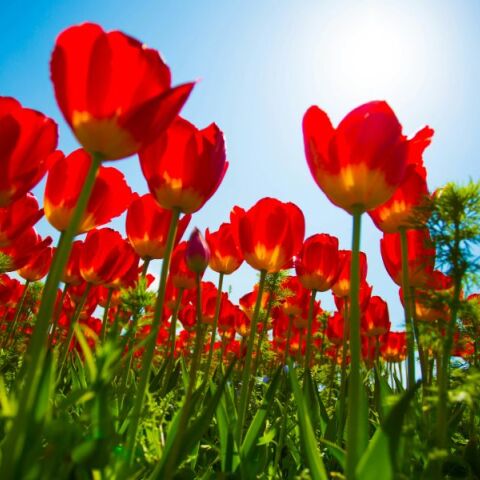 Εορτολόγιο: Σήμερα 14 Μαρτίου 2025  γιορτάζει…