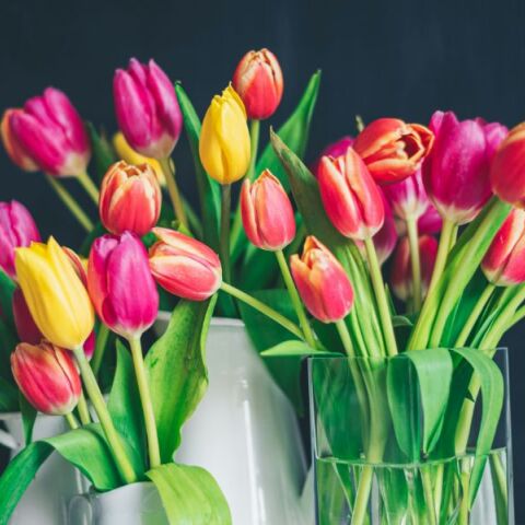 Εορτολόγιο: Σήμερα 18 Μαρτίου 2025, γιορτάζει…