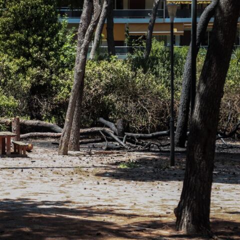 Ζωγράφου: Φοιτητής βρέθηκε κρεμασμένος σε δέντρο στην Πανεπιστημιούπολη