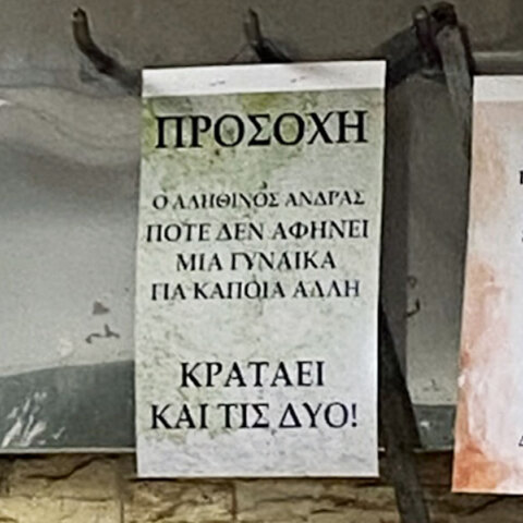 Σε είδα να διδάσκεις ανδρισμό στους άσχετους