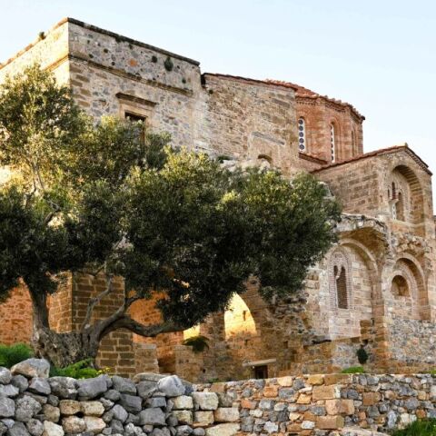 Πελοπόννησος: Ένταξη 3 μνημειακών δέντρων στο Δίκτυο Αιωνόβιων Δέντρων Ελληνικής Επανάστασης - Η σημαντική ιστορία τους