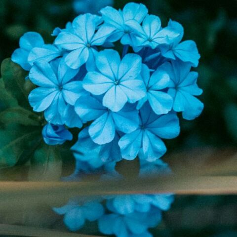 Εορτολόγιο: Σήμερα 25 Μαρτίου 2025 γιορτάζει…