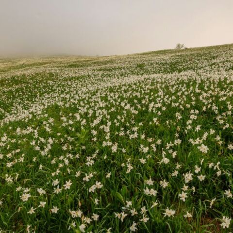 Εορτολόγιο: Σήμερα 26 Μαρτίου 2025 γιορτάζει…
