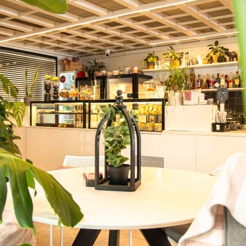 Evangelia’s Sweet Spot