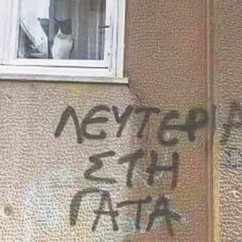 Φτιάξε μου τη μέρα: Το γκράφιτι της εβδομάδας