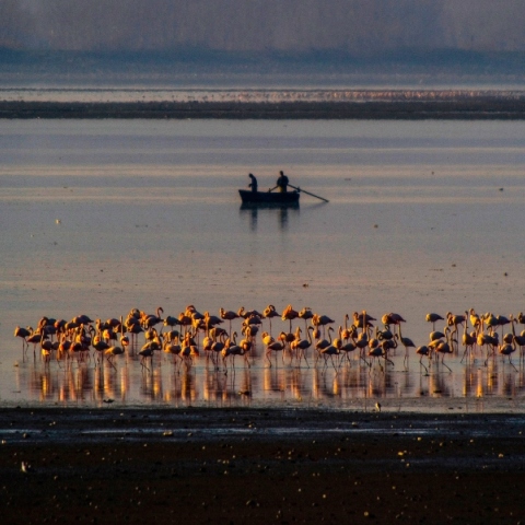 Κερκίνη: Ο καθρέφτης του ουρανού