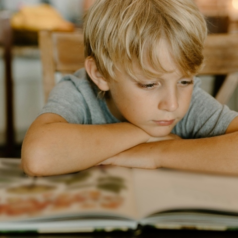 Η μαγεία του παιδικού βιβλίου: Μια βραδιά λογοτεχνίας και μουσικής