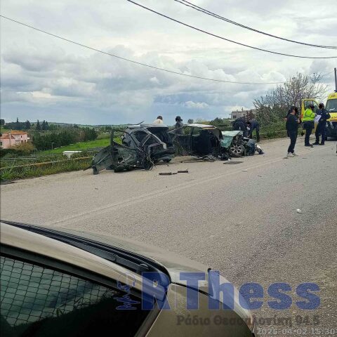 troxaioplagiari-1536x1536