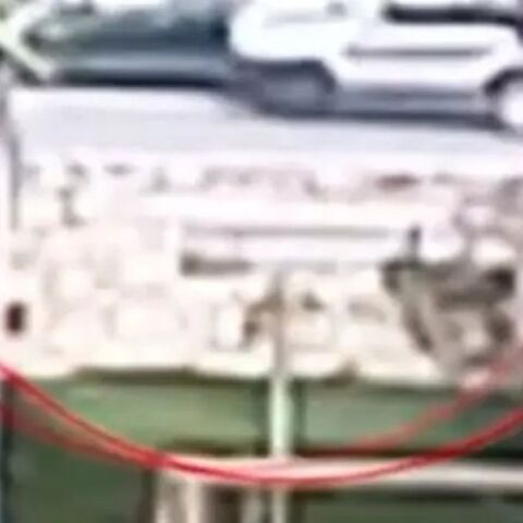 Θανατηφόρο τροχαίο στην Κρήτη: Ηλικιωμένη παρέσυρε 51χρονη - Βίντεο ντοκουμέντο στο φως