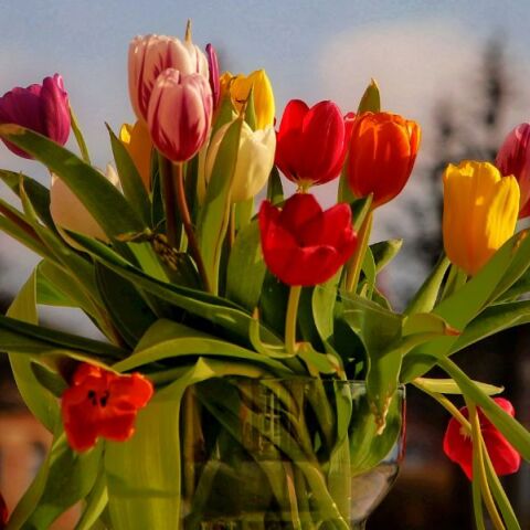 Εορτολόγιο: Σήμερα 5 Απριλίου 2025 γιορτάζει...