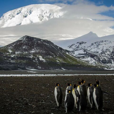 Δασμοί Τραμπ: Τα νησιά Χερντ και ΜακΝτόναλντ στον εμπορικό πόλεμο του προέδρου των ΗΠΑ - Πώς στοχοποιήθηκαν - Η αντίδραση της Αυστραλίας