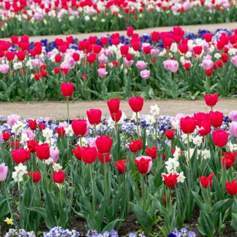 Εορτολόγιο: Σήμερα 8 Απριλίου 2025 γιορτάζει…