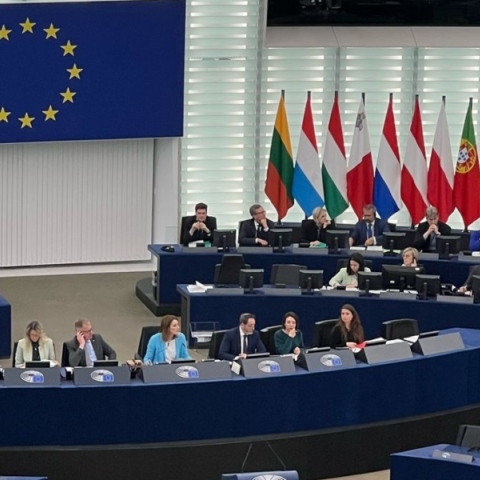 Αποστολή στο Ευρωκοινοβούλιο: Κατάδυση στο εσωτερικό μιας δημοκρατικής Βαβυλωνίας