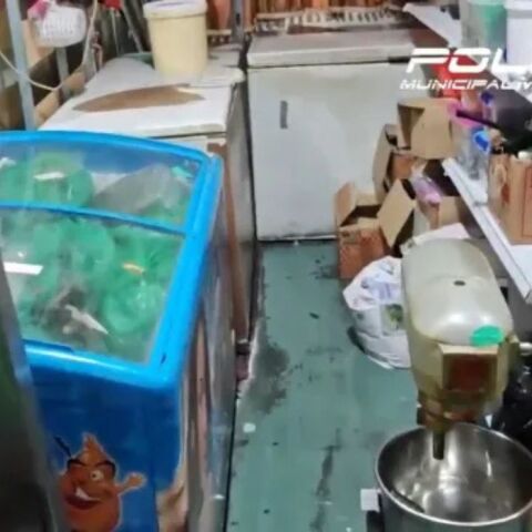 untitled_design_-_2025-04-09t163418_396