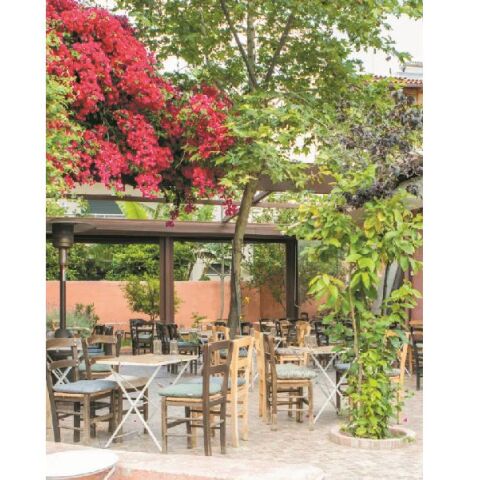 Αυλή, Πετράλωνα