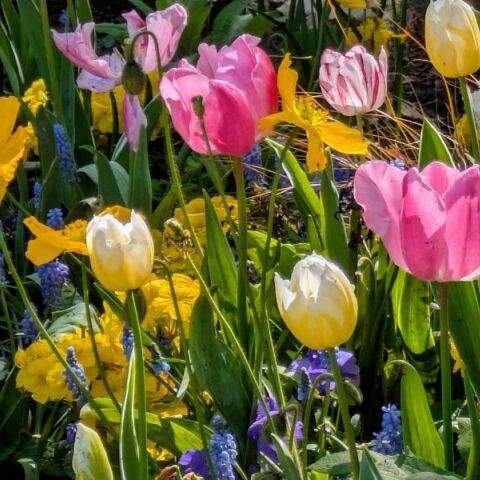 Εορτολόγιο: Σήμερα 5 Ιουνίου 2025 γιορτάζει…