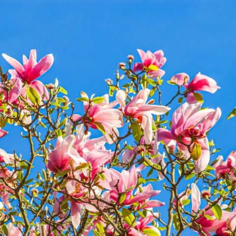 Εορτολόγιο