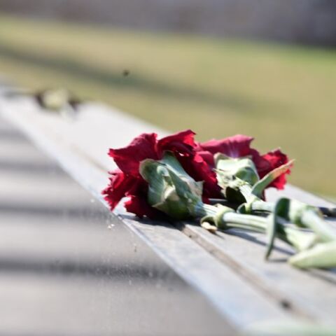 Πρωτομαγιά 2025: Ποια μέρα πέφτει φέτος - Τι ισχύει για τη μεταφορά της αργίας 