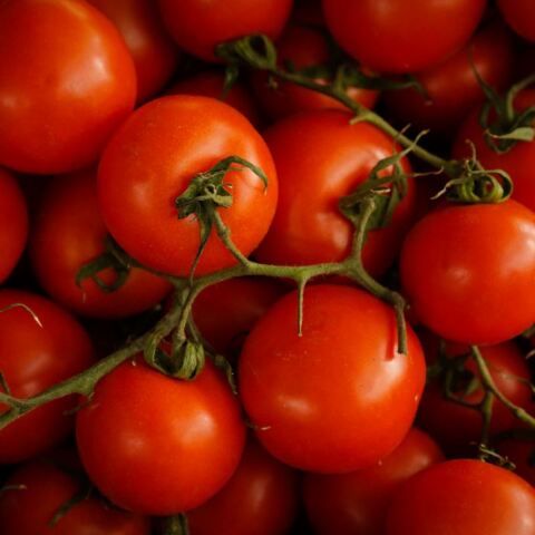 Ο Ντόναλντ Τραμπ επιβάλλει δασμούς 21% στις ντομάτες από το Μεξικό - Θα τεθεί σε εφαρμογή από τα μέσα Ιουλίου