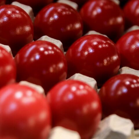 «Αυτό το Πάσχα, βάφουμε κόκκινα μόνο τα αβγά!» - Το βίντεο με τις πρωτότυπες ευχές της ΕΛ.ΑΣ