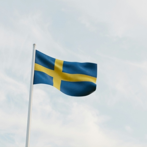 Γιατί οι Σουηδοί δεν απεργούν;  