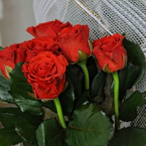 Εορτολόγιο: Σήμερα 20 Απριλίου 2025 γιορτάζει…