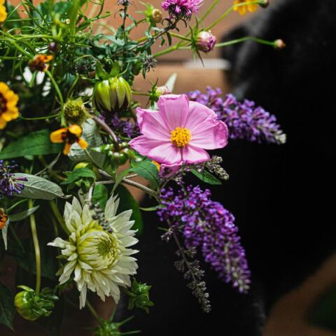 Ποιοι γιορτάζουν σήμερα 22 Απριλίου 2025; Το εορτολόγιο της Athens Voice σου τους θυμίζει. Μην ξεχάσεις να τους δώσεις τις καλύτερες ευχές σου!