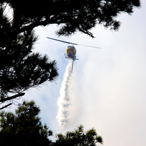 Φωτιά τώρα στη Ζάκυνθο 