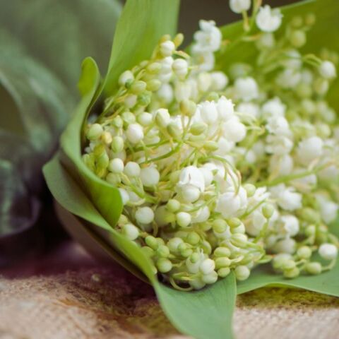 Εορτολόγιο: Σήμερα 30 Απριλίου 2025 γιορτάζει…