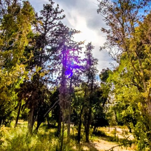 Με δύο «πρόσωπα» ο καιρός την Τετάρτη: Ανοιξιάτικες βροχές στη μισή χώρα, ηλιοφάνεια στην υπόλοιπη