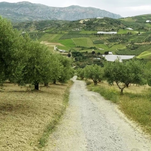 Πρόγραμμα εξοικονόμησης νερού Zero Drop της Coca-Cola