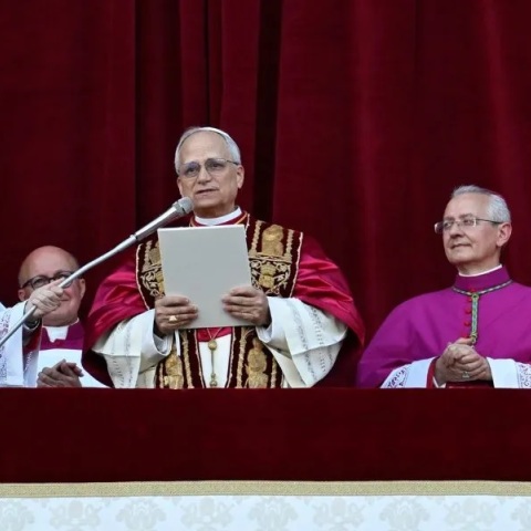 Πάπας Λέων 14ος