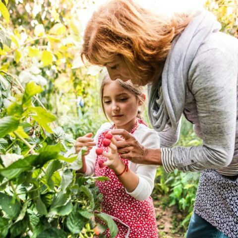Κι όμως, η κηπουρική μπορεί να σας βοηθήσει να ζήσετε καλύτερα και περισσότερο
